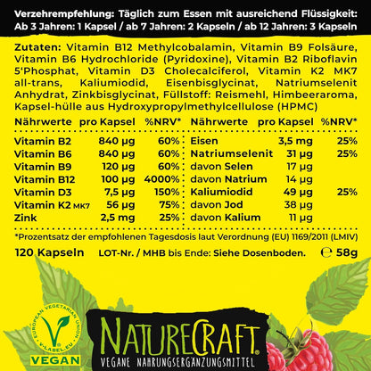 Vegan Kids All-in-One - Vitamin B12+D3+K2+B2+B6+B9 Folsäure + Zink + Eisen + Selen + Natrium + Kalium + Jod - Komplex für Kinder mit 120 Kapseln (max. 4 Monats-Vorrat)…