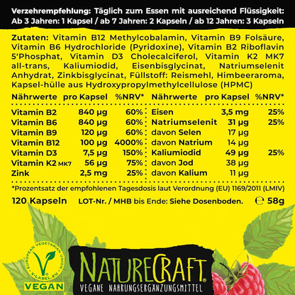 Vegan Kids All-in-One - Vitamin B12+D3+K2+B2+B6+B9 Folic acid + Zinc + Iron + Selenium + Sodium + Potassium + Iodine - Complex for children with 120 capsules (max. 4 month supply)… 